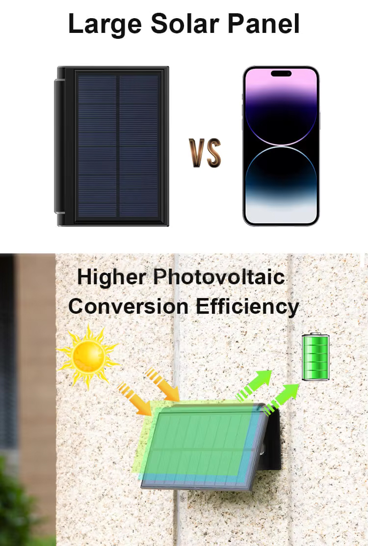 3.jpg 3.jpg